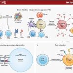 yale-cancer-center-per