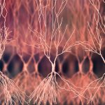 081021_ls_memory_feat-1030x580