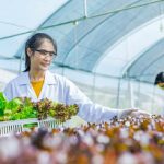 Scientists test the solution, Chemical inspection, Check freshness  at organic, hydroponic farm.