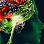 cervello-formato-da-alimenti-1280x720