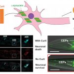 hku-biologists-identif