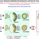 organoid-success-revea