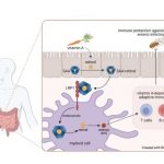 utsw-scientists-reveal