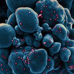 27fd398e2bac0be3de1d7f48bcc4851e