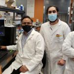 Antioxidants-To-Prevent-Alzheimers-Disease-Researchers-777x378