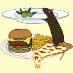 CoverArt_FMD_Nat.-Metabolism-web-824x549