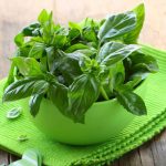 basilico-e1557912859764