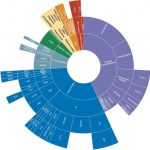 clinical-feasibility-o