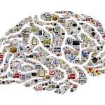 cognitive-function (1)