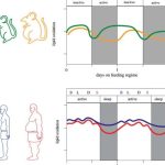 eat-breakfast-and-stop