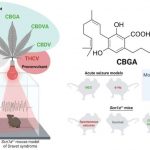 scientists-discover-th-4