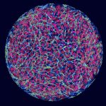study-detects-origins
