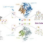 uci-led-study-suggests
