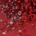 blood-clots (1)