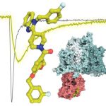 compound-developed-at