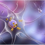 neuron-with-lewy-bodies-credit-katheryna-kon-shutterstock