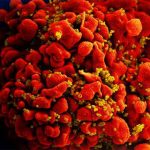 new-study-provides-ins-1