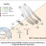 researchers-identify-a-9