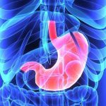 what-you-need-to-know-1