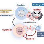 when-cancer-met-its-ma