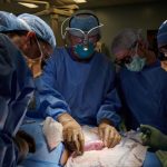 102221_jl_pig-kidney-transplant_feat-1030x580
