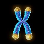 csm_20211105_tolemere_693d0cb7d3