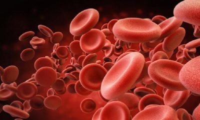 globuli-rossi-nuovo-metodo-per-la-produzione-in-laboratorio