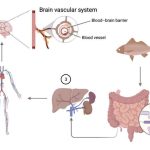 molecule-found-in-seaf