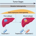 new-study-in-primary-l