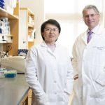 study-provides-new-ins-1