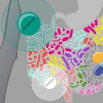 the-impact-of-drugs-on