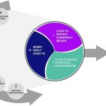 the-role-of-trust-and (1)