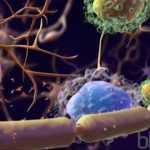 3850378299001_6032299830001_6032298644001-vs