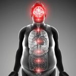 Brain-Obesity-Weight-Loss-777x583 (1)