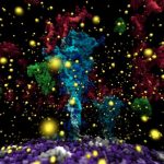 UCSD-COVID-Visualization-777x486