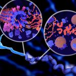 alzheimer-tau_thumb_720_480