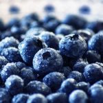 blueberry-3460423_960_720-720x480