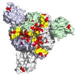 covid-19--omicron-resi