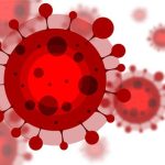 covid-19_-300x225@2x