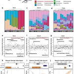 link-found-between-str