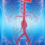 mechanical-basis-for-a