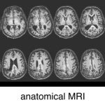 new-research-gives-hop