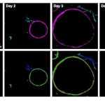 optical-imaging-highli