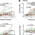 potent-food-supplement