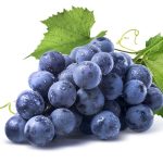 shutterstock_220836805-1