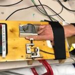 supplement-appears-to-1