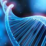 6a00d8341d107253ef01b7c8b0c5fa970b