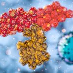 ImageForNews_705413_16457043949615578