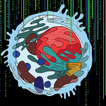 Multi-Scale-Integrated-Cell
