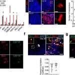 ally-and-enemy-scienti